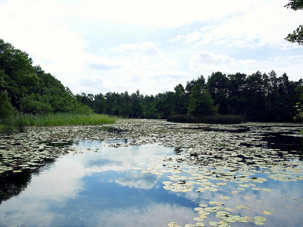 Domek Letniskowy Grazyna Villa Kopalino Eksteriør bilde